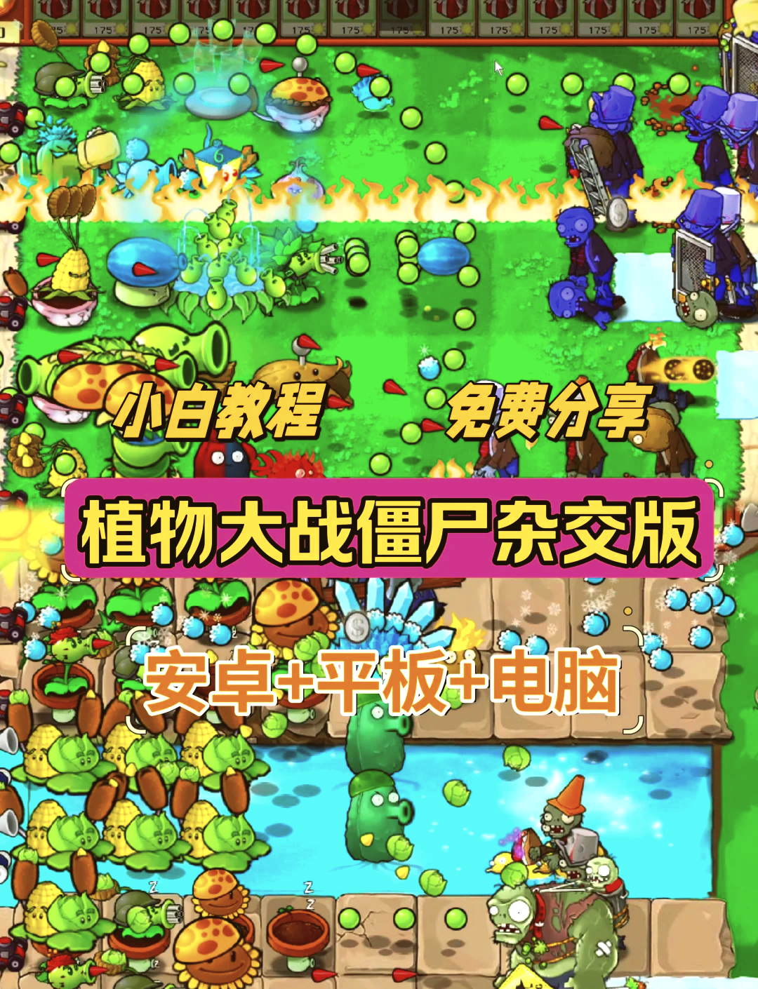 植物大战僵尸老版本下载安装破解(植物大战僵尸老版本下载安装)
