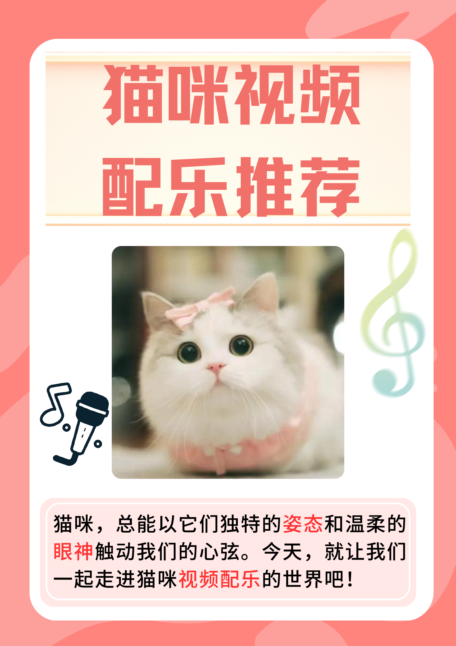 猫咪载app下载(猫咪下载安装)