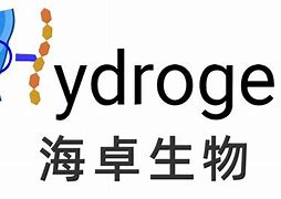 赛风安卓下载-赛·风安卓版apk