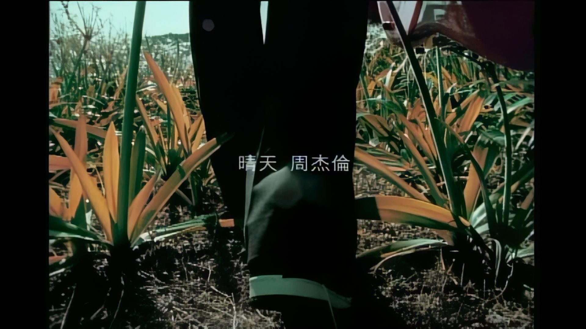 晴天mp3下载(凄美地mp3下载)