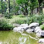 紫薇花园聊天软件下载(紫薇花园聊天软件下载苹果)